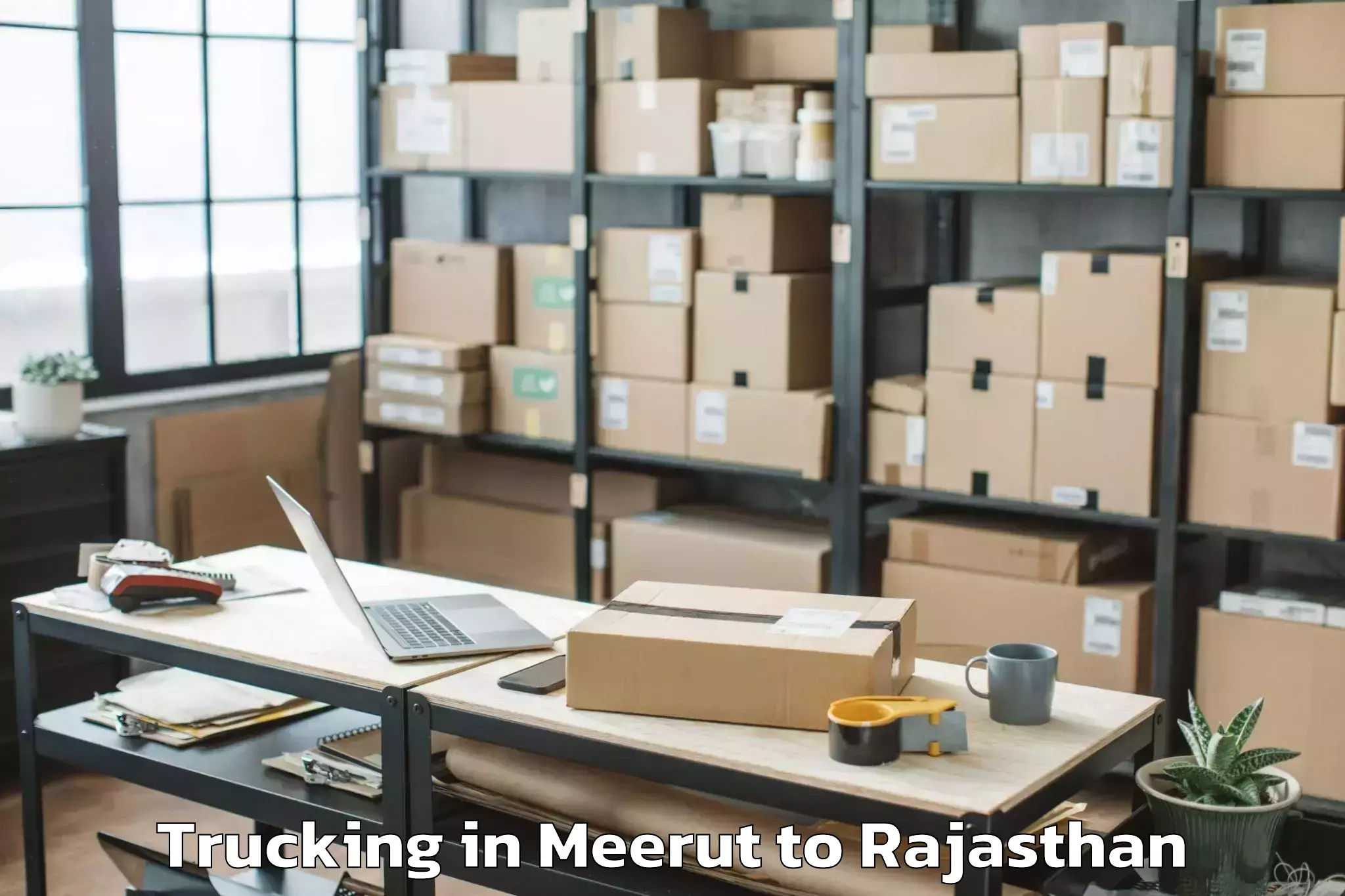 Professional Meerut to Mandalgarh Trucking